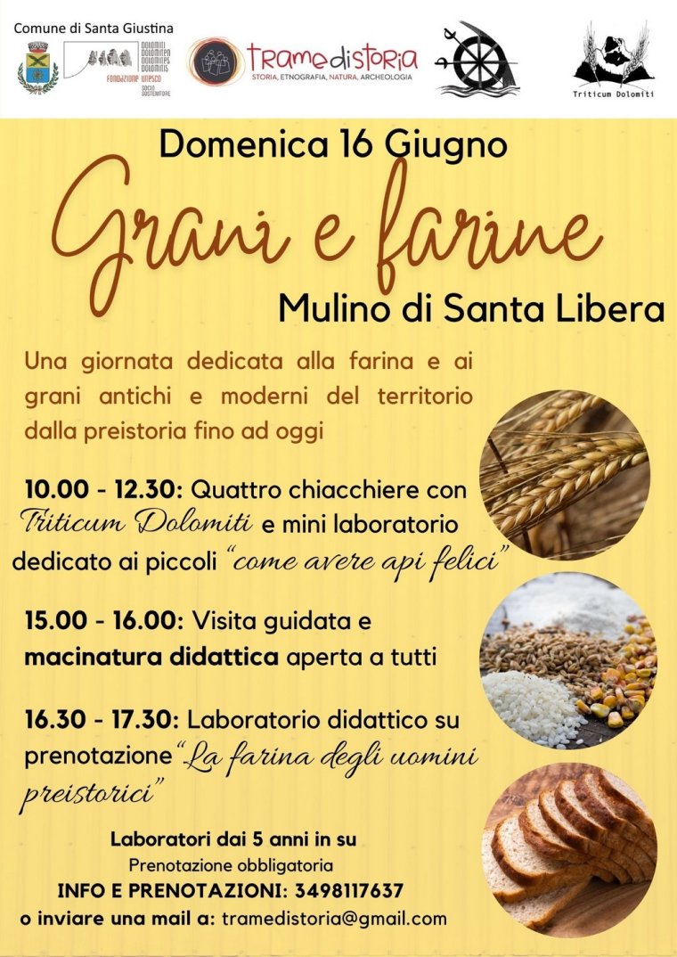 Mulino di Santa Libera (Santa Giustina - BL): "Grani e farine"