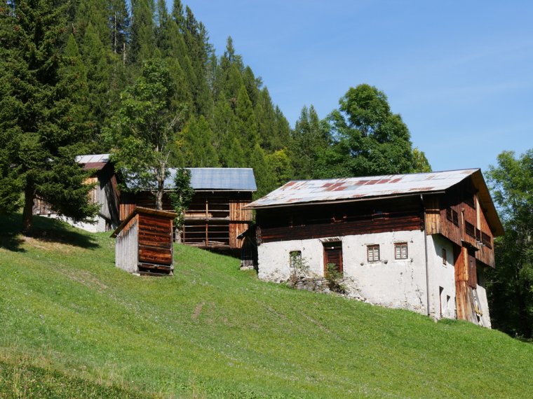 Tramedistoria: escursione "Alla scoperta delle vicinie: Davedino, Visinè di là e Ornella"