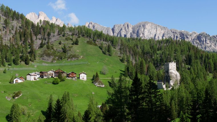 Tramedistoria: escursione "Alla scoperta delle vicinie: Castello e Larzonei"